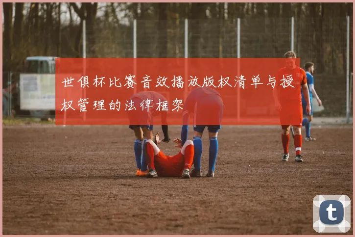 世俱杯比赛音效播放版权清单与授权管理的法律框架