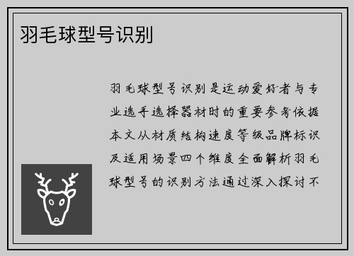 羽毛球型号识别