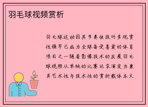 羽毛球视频赏析